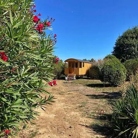 La Roulotte Depote Bed & Breakfast Monbequi